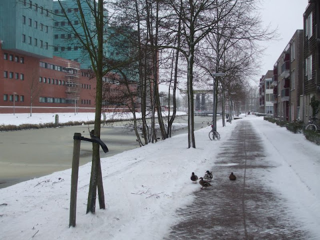 Marwixkade in de winter (foto Alfred Scholtens)