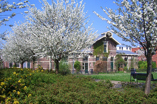 Het Badhuis in lentetooi (foto Willem Bijleveld)